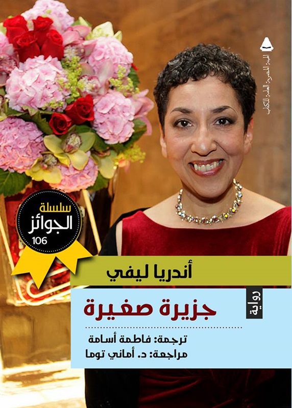 جزيرة صغيرة