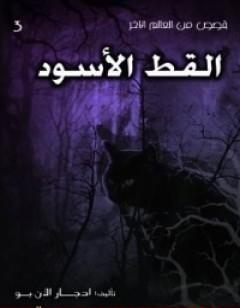 القط الأسود