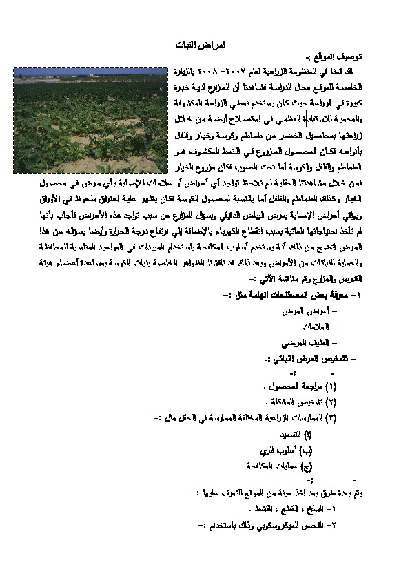 امراض النبات