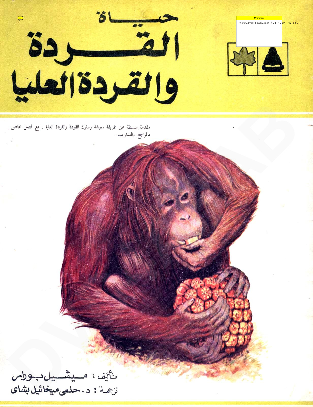 عالم الحيوان - حياة القردة والقردة العليا