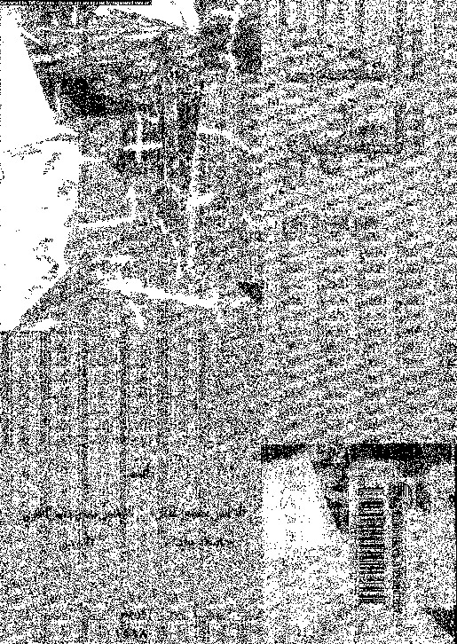 البحث العلمي حرفة وفن