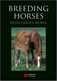 BREEDING HORSES