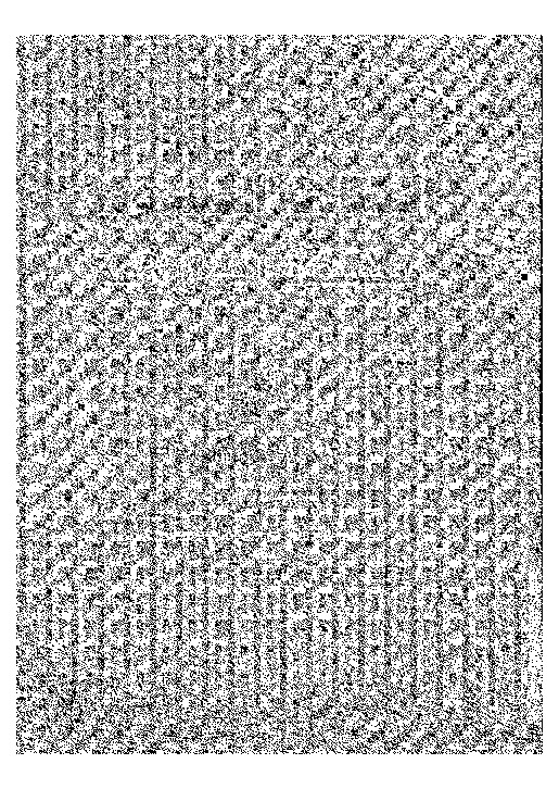 المساحة المستوية و تطبيقاتها فى الزراعة