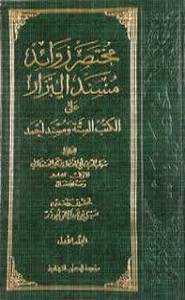 مسند البزار - المجلد الثاني