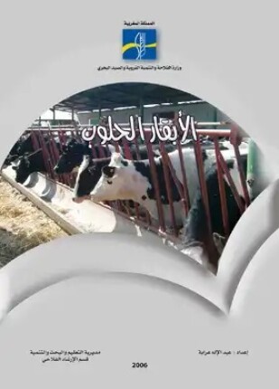 تغذية الأبقار الحلوب