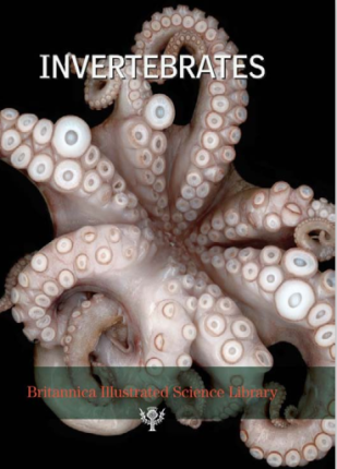 britannica illustrated science library invertebrates