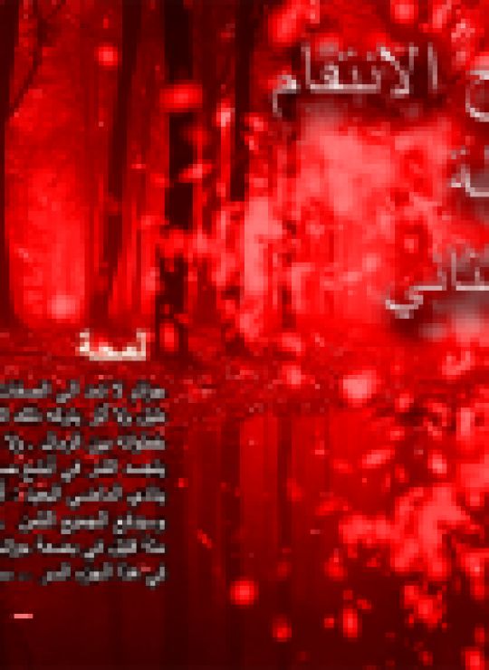 عندما يصبح الانتقام عدالة