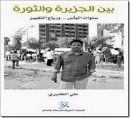 بين الجزيرة و الثورة