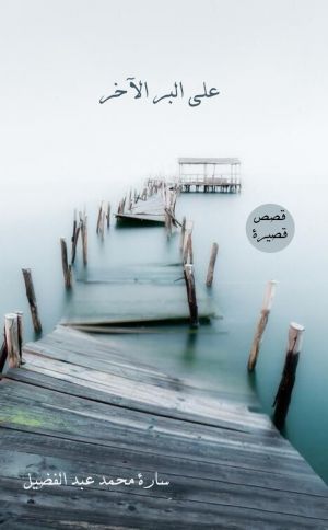 على البر الآخر