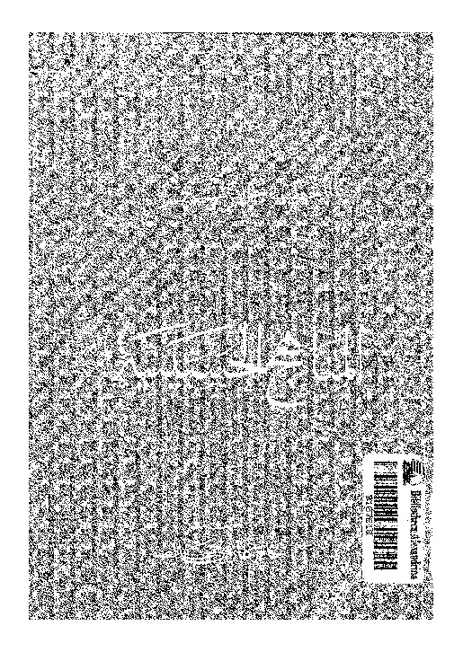 المناهج الحسينية