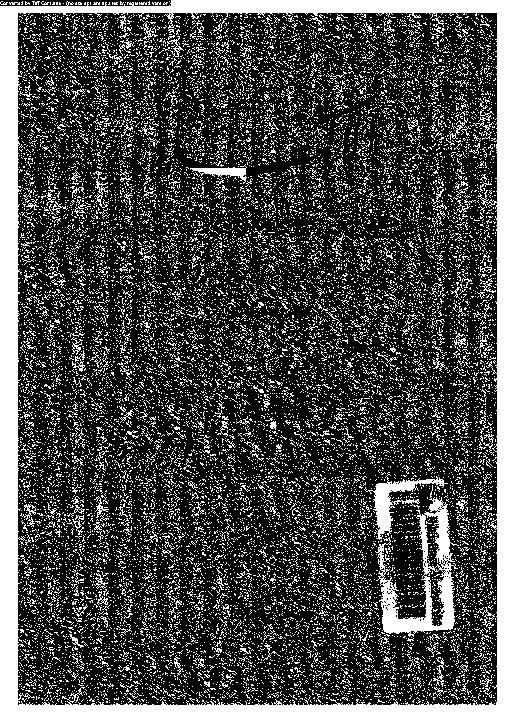 الاكتفاء فى مغازى رسول الله و الثلاثة الخلفاء - الجزء الأول