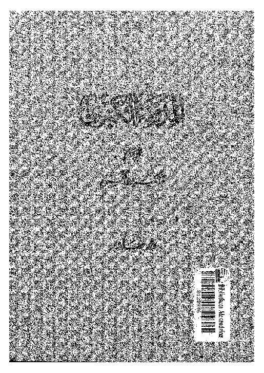 المدونة الكبرى - الجزء السادس والسابع والثامن