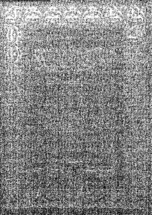 الأنكحة الفاسدة: دراسة فقهية مقارنة