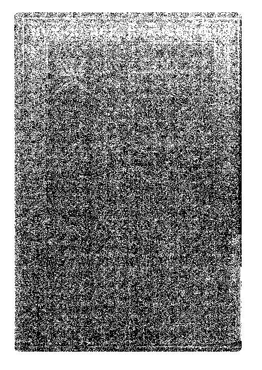 المعتبر - الجزء الثالث