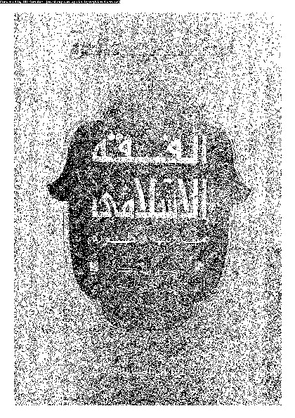 الفقه الإسلامى: مرونته و تطوره