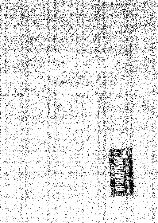 المدونة الكبرى - الجزء الثاني