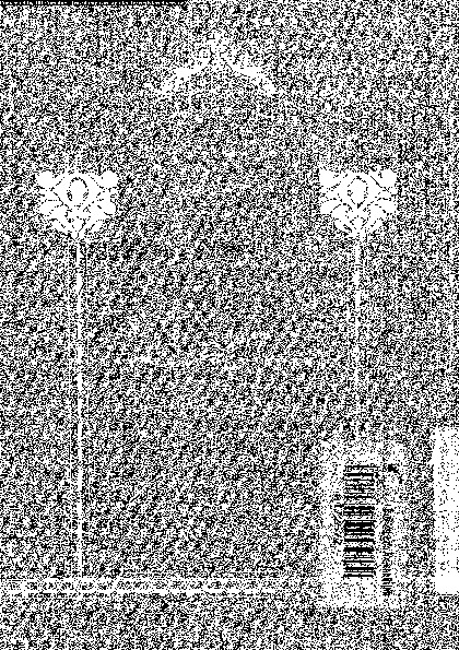 صورتان متضادتان لنتائج جهود الرسول الاعظم صلى الله عليه و سلم بين السنة و الشيعة الإمامية