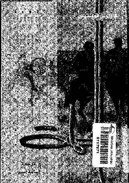 الحملة = The campaign