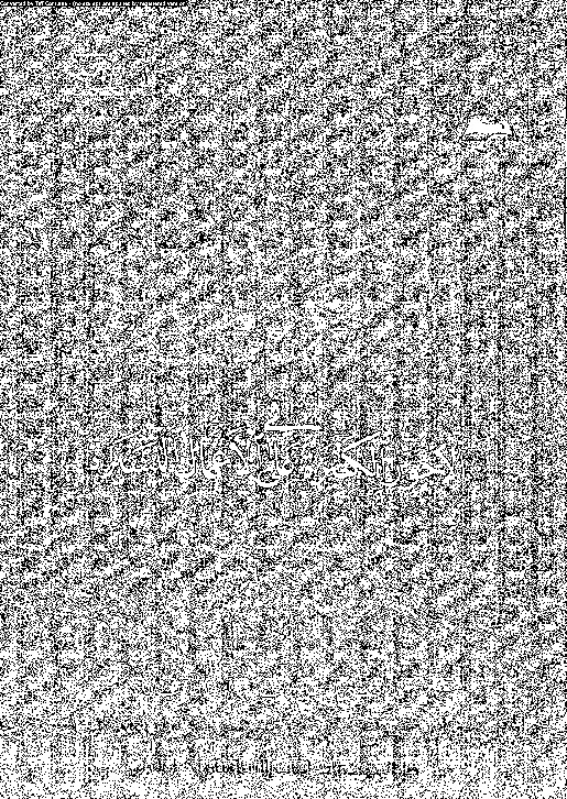 الأربعون المنيرة في الأجور الكبيرة على الأعمال اليسيرة