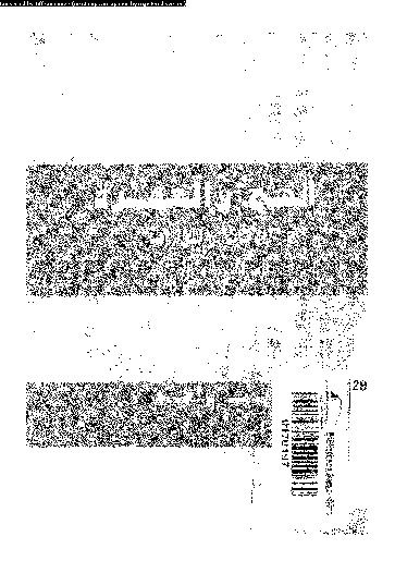 الحج و العمرة: الأماكن و المزارات المناسك و الادعية