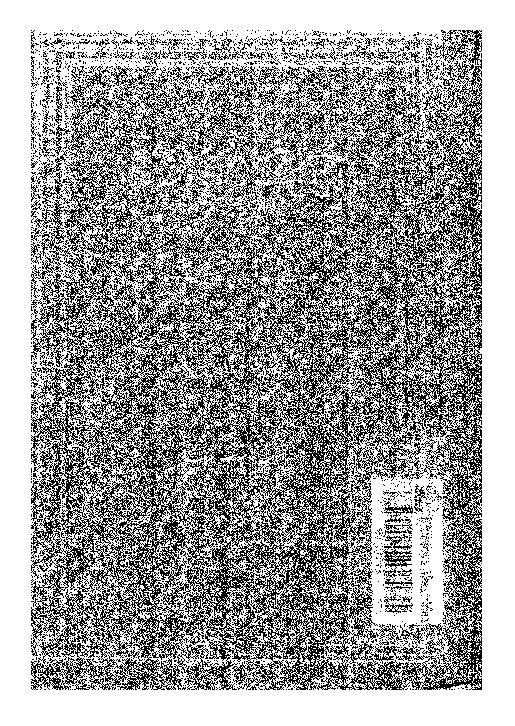 جمع الفوائد من جامع الأصول و مجمع الزوائد - الجزء الثاني