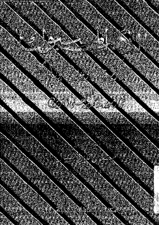 الذهب المسبوك في ذكر من حج من الخلفاء و الملوك