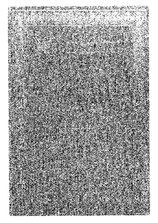 المعتبر - الجزء الثاني