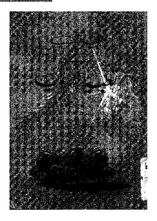 تعجيل السقيا فى تعبير الرؤيا