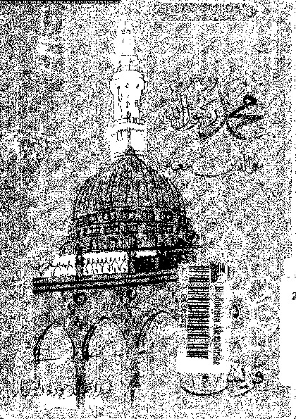 محمد رسول الله و الذين معه 05