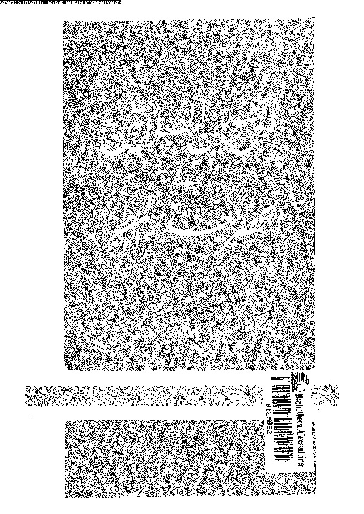 الجمع بين الصلاتين فى الحضر بعذر المطر: دراسة حديثية فقهية مقارنة