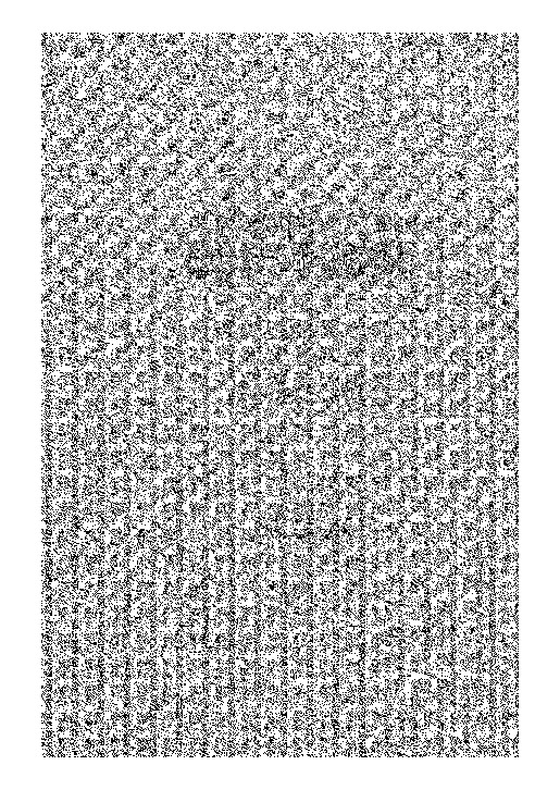 المدونة الكبرى - الجزء الثالث والرابع والخامس