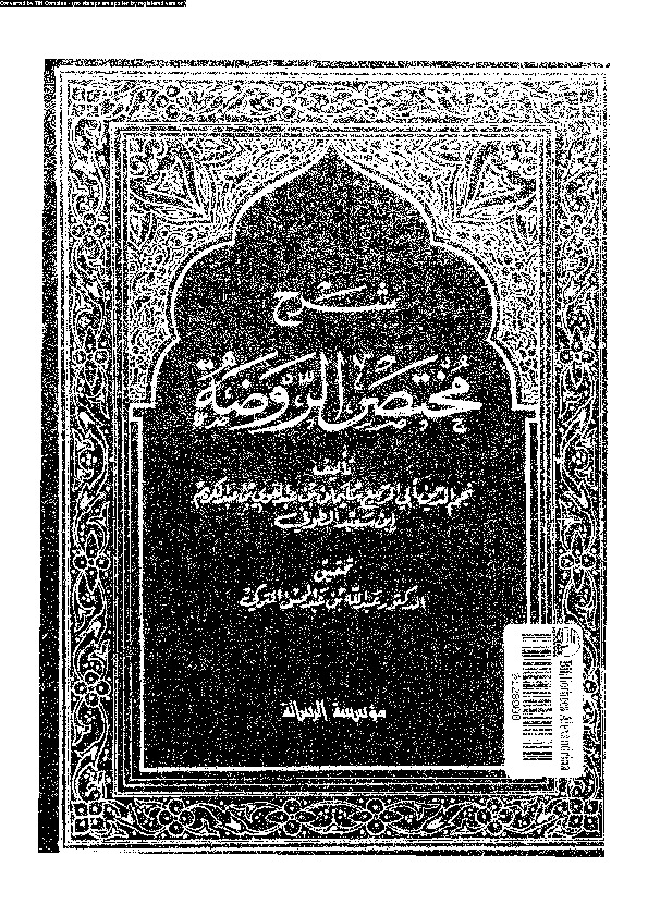 شرح مختصر الروضة - الجزء الثالث