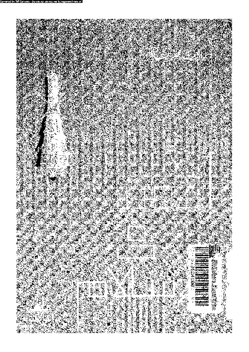 الأمن فى الإسلام