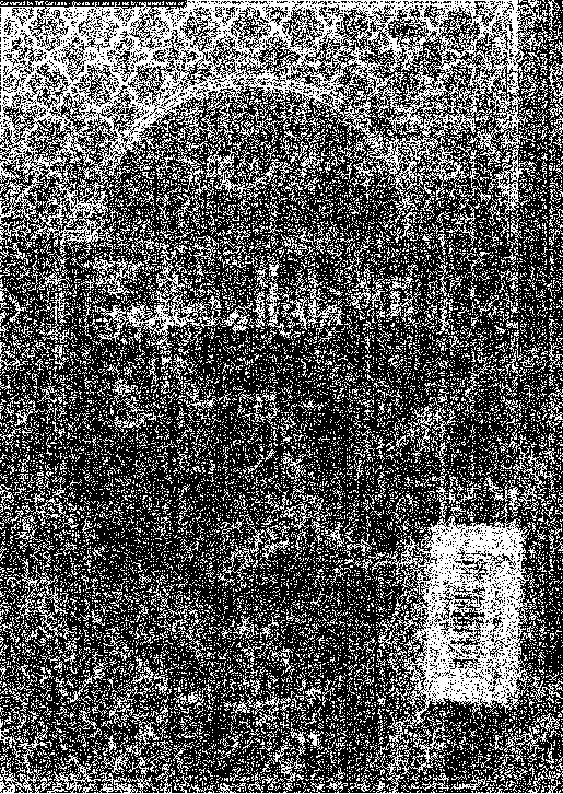 الإخوان المسلمون أحداث صنعت التاريخ - رؤية من الداخل - الجزء الأول (1928-1948)