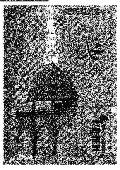 محمد رسول الله و الذين معه 02