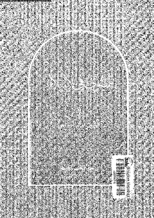 الفتوى فى الإسلام