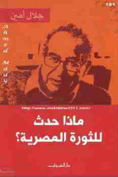 ماذا حدث للثورة المصرية؟