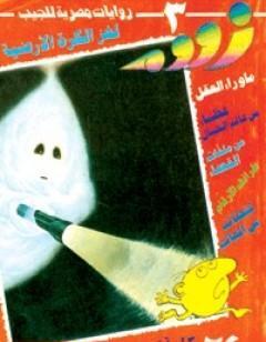 لغز الكرة الأرضية - زووم