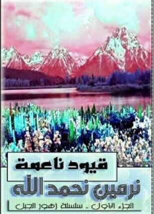 قيود ناعمة