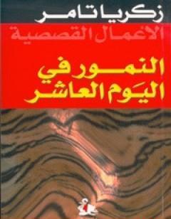 النمور في اليوم العاشر