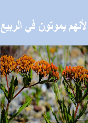 لأنهم يموتون في الربيع
