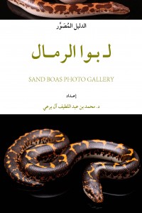 لبُوَا الرمال