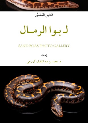 الدليل المصور ل بوا الرمال