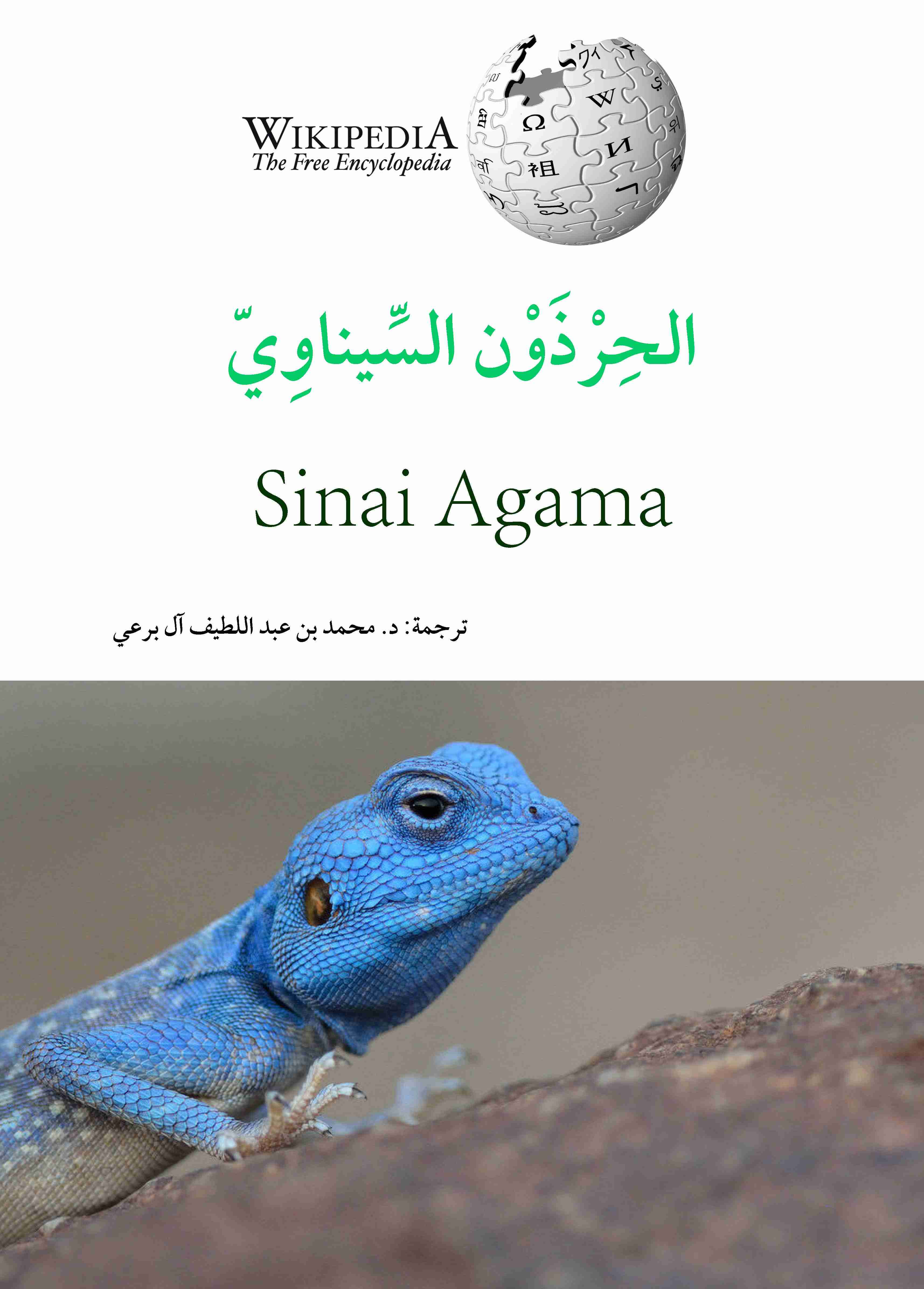 الحرذون السيناوي