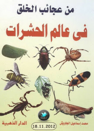 من عجائب الخلق في عالم الحشرات