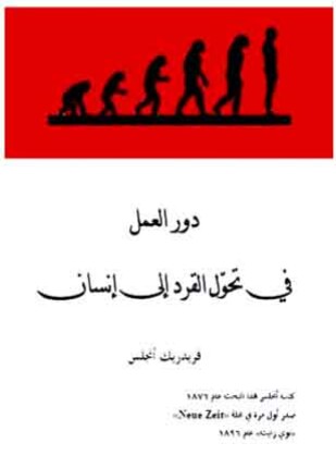 دور العمل في تحول القرد إلى إنسان