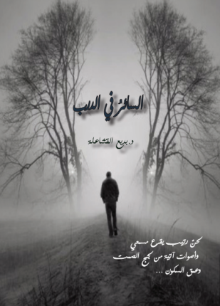 السائر في الدرب