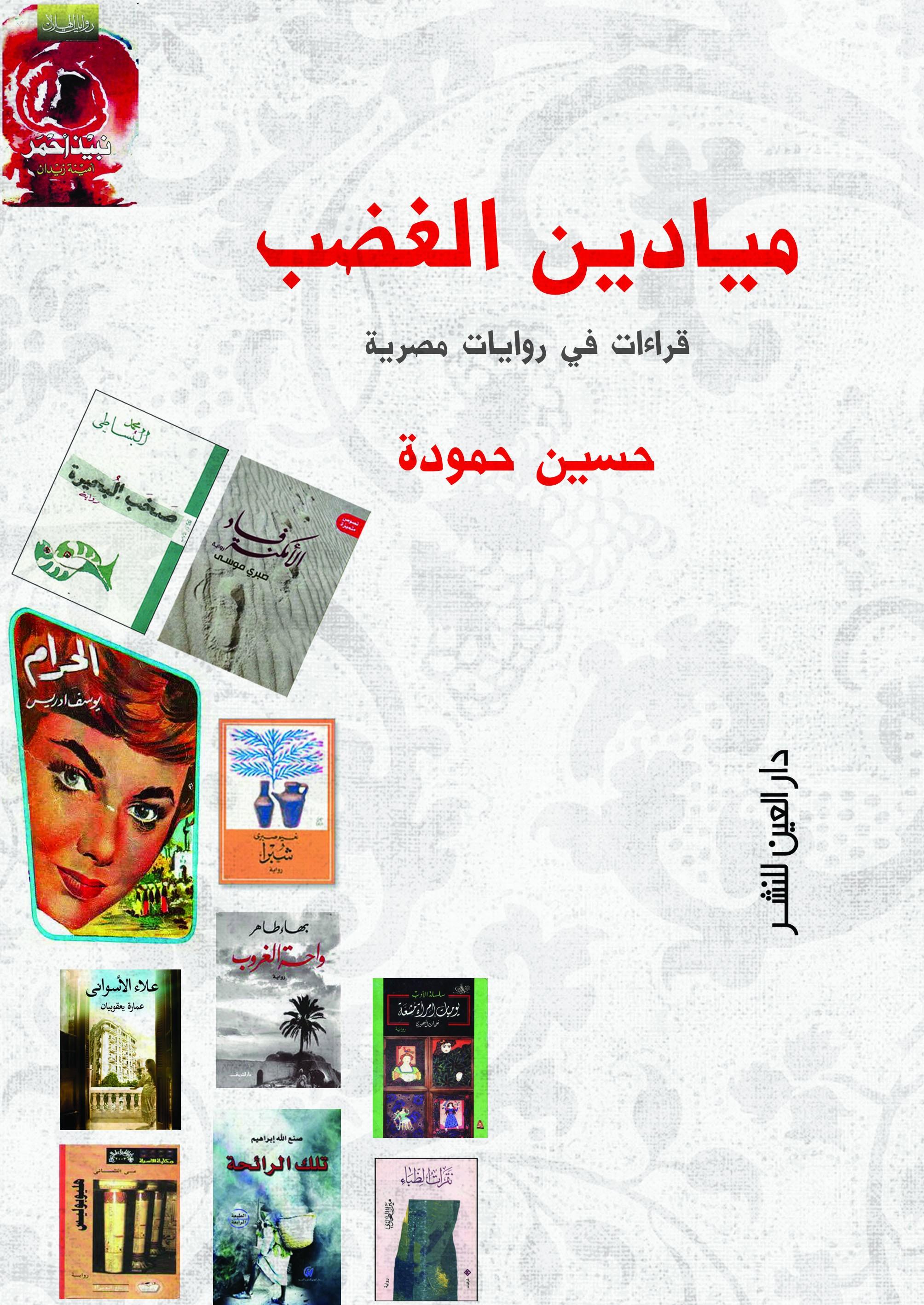 ميادين الغضب  قراءات في روايات مصرية