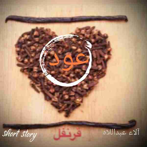 عود قرنفل