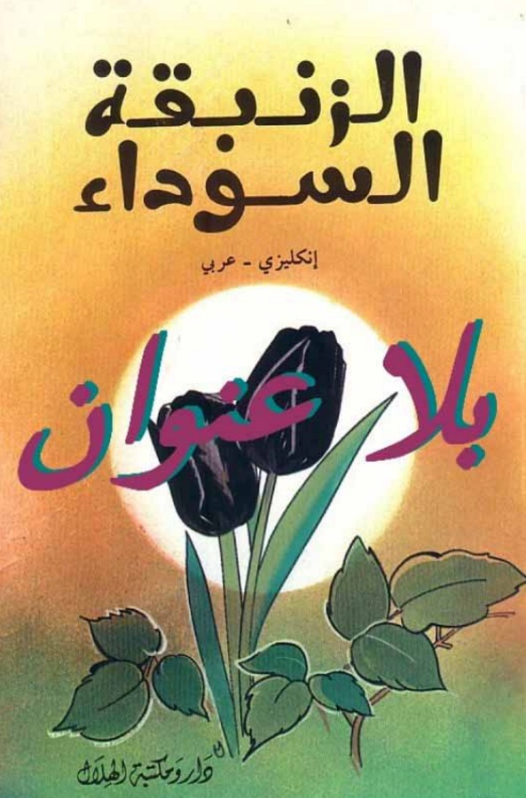 الزنبقة السوداء